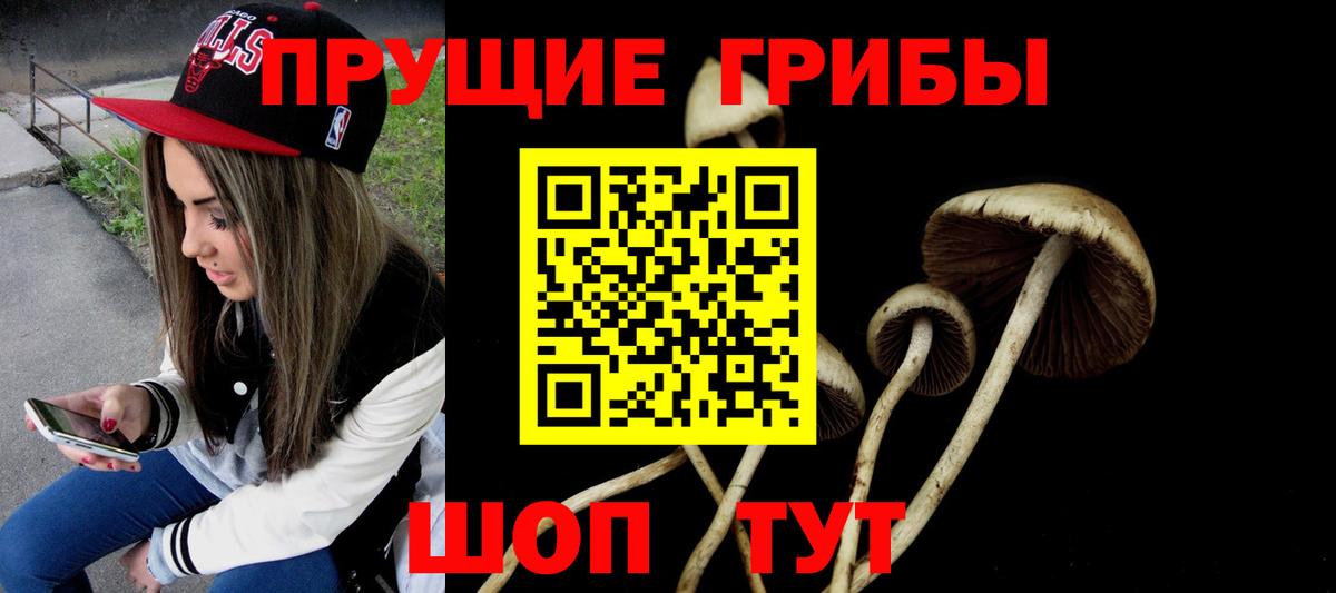 Галлюциногенные грибы прущие грибы Тара